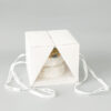 Double-door transparent handheld Cake box